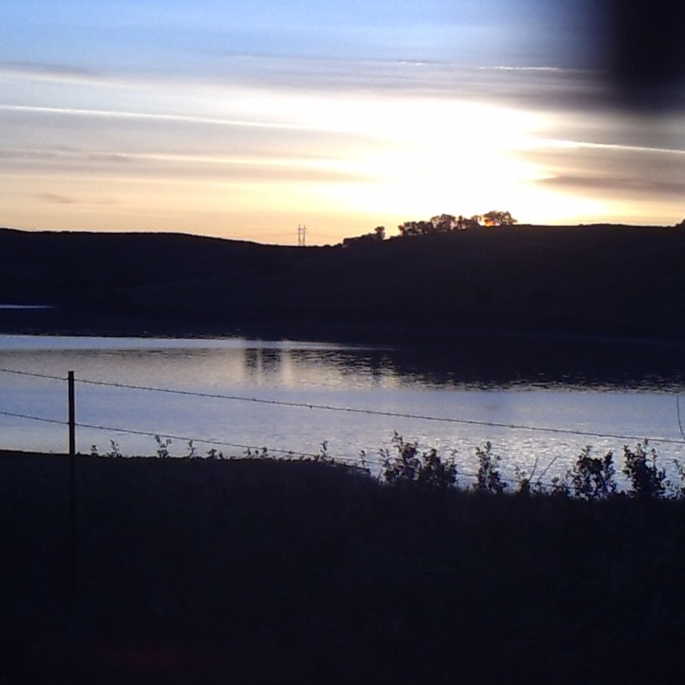 Meet your Posher, Jillian